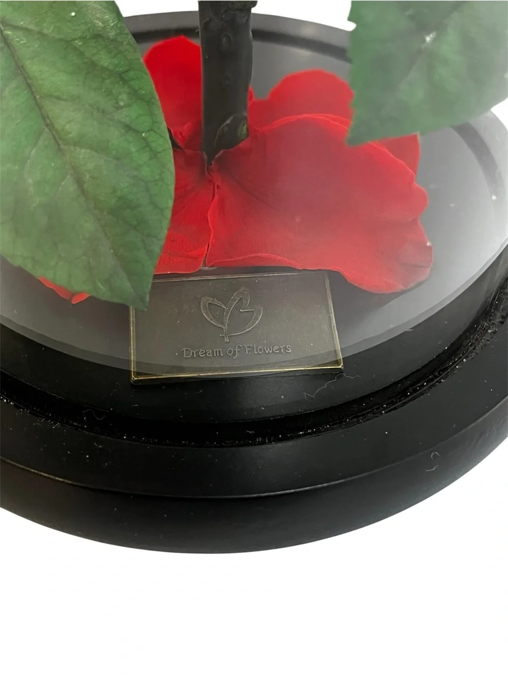 Dream of Flowers Beauty and The Beast Red Silk Rose Glass Dome Wood Base No LED
